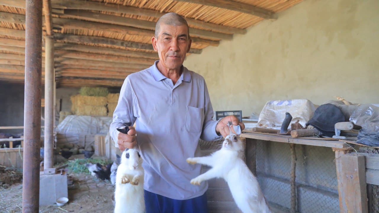 Olot: Boymurodovlar uy xoʻjaligidagi maʼmurlik koʻplarga ibrat