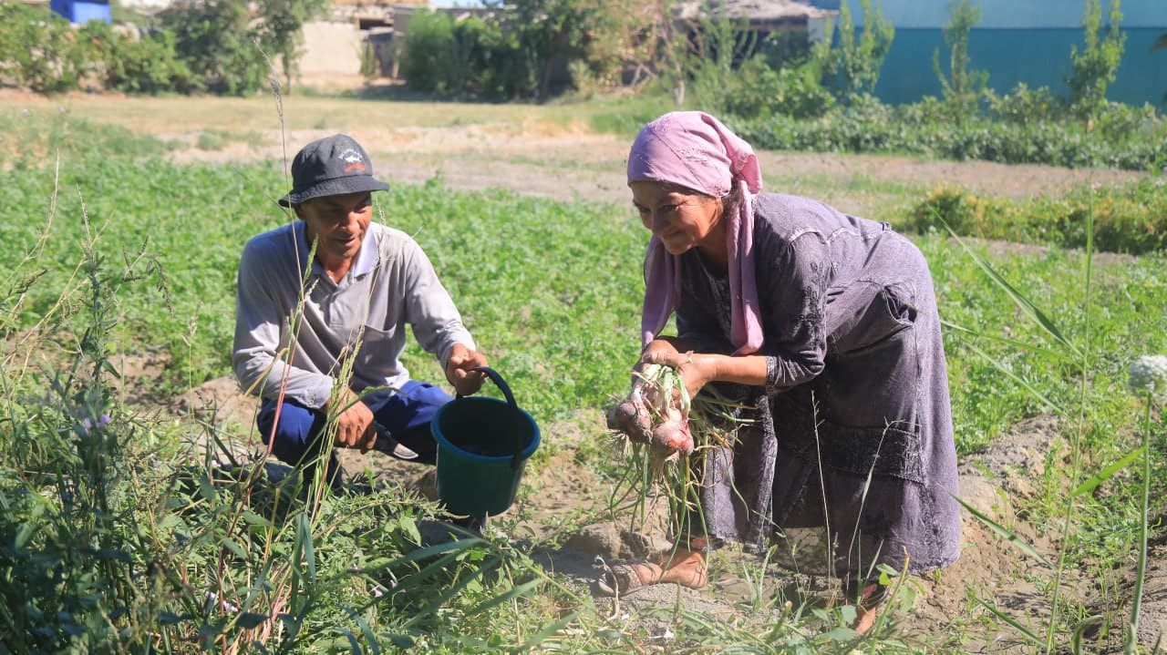 Olot: Boymurodovlar uy xoʻjaligidagi maʼmurlik koʻplarga ibrat
