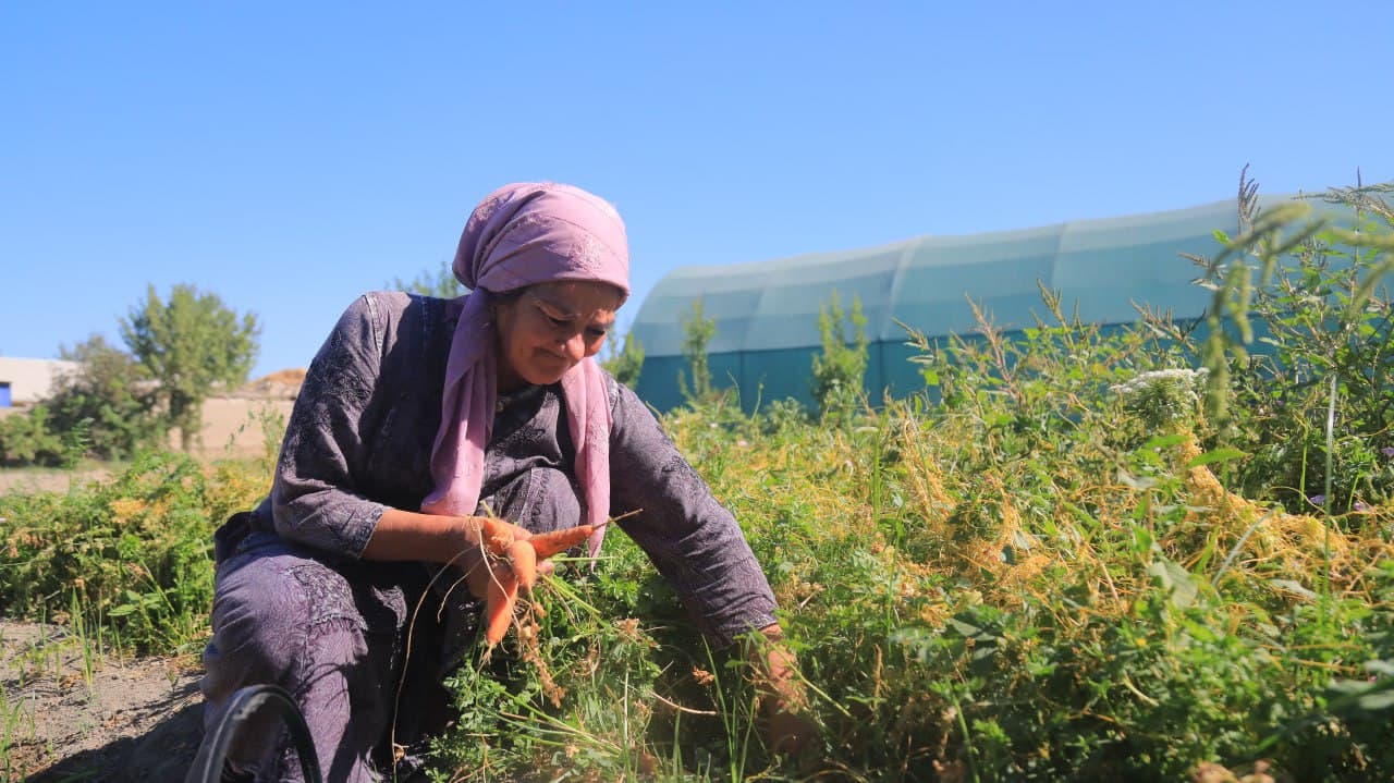 Olot: Boymurodovlar uy xoʻjaligidagi maʼmurlik koʻplarga ibrat