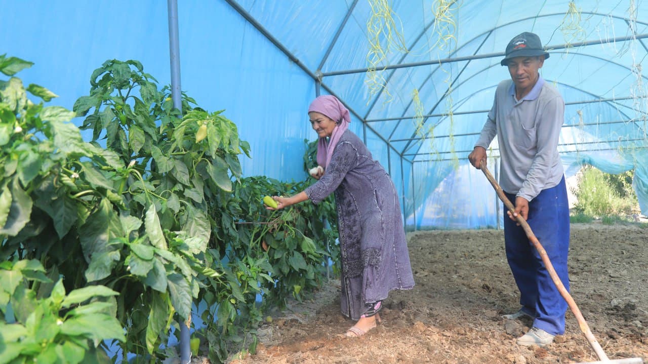 Olot: Boymurodovlar uy xoʻjaligidagi maʼmurlik koʻplarga ibrat