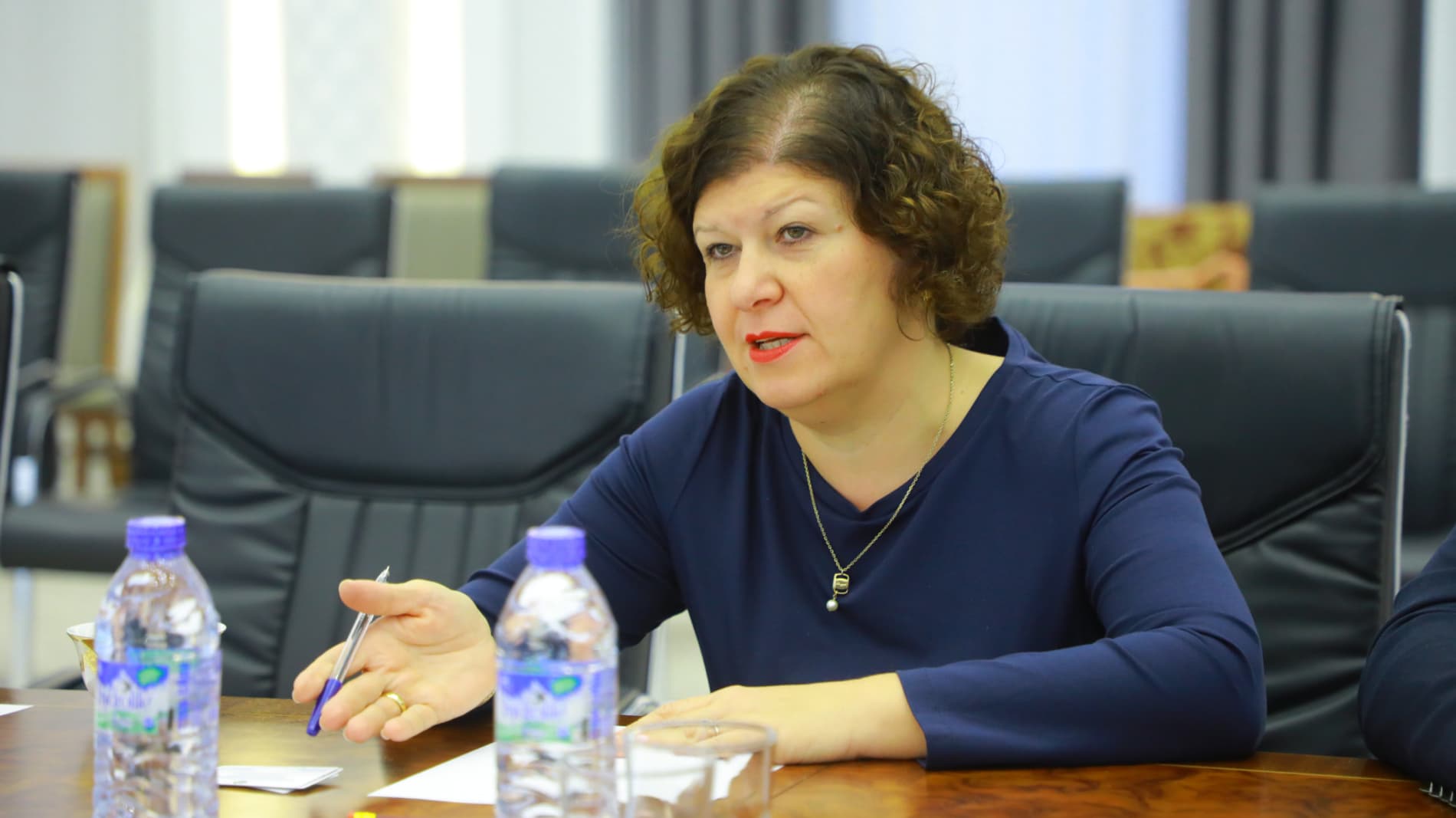 Botir Zaripov Gruziyaning “Reformatiks” konsalting kompaniyasi mutasaddilarini qabul qildi