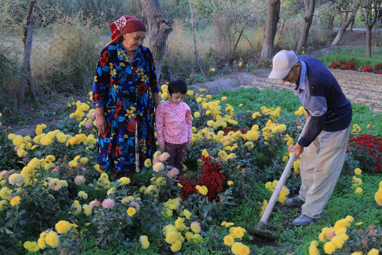 Когон: Куржан қишлоғида Сафар бобо Тўқов уй хўжалиги ҳам обод ва ҳавасга лойиқ