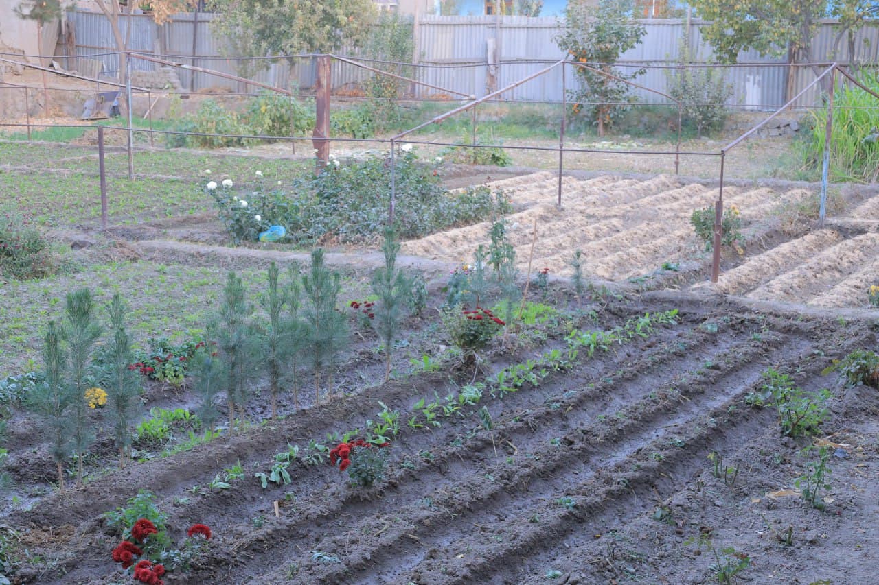 Когон: Куржан қишлоғида Сафар бобо Тўқов уй хўжалиги ҳам обод ва ҳавасга лойиқ