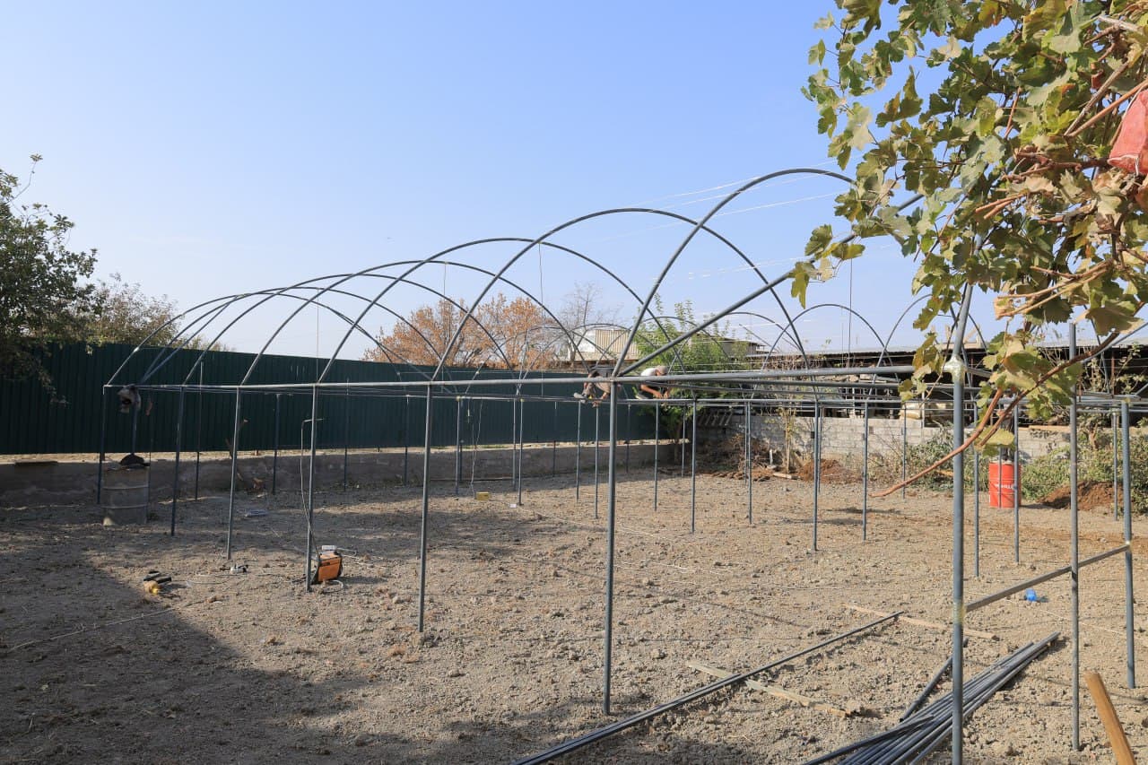 Когон: чамбаронлик Саидовлар хонадони ҳам иссиқхона ва чорва моллари боқишдан барака топмоқда