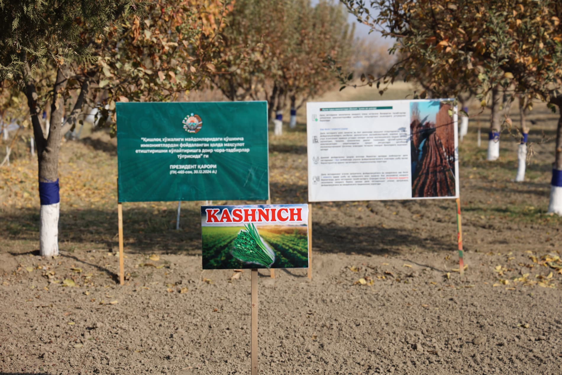 “Har bir kun — bu imkoniyat, har bir kun bu kelajak uchun poydevor!”