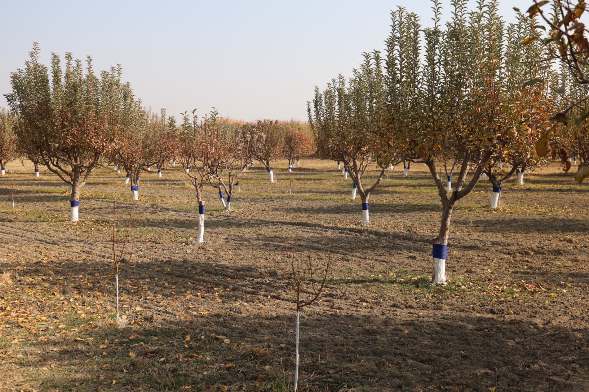 “Har bir kun — bu imkoniyat, har bir kun bu kelajak uchun poydevor!”