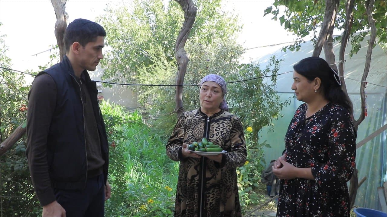 Бухоро шаҳри: шайхонлик Сабоҳат Бозорова ҳам томорқасини обод қилиб, иссиқхонасидан қут-барака топмоқда