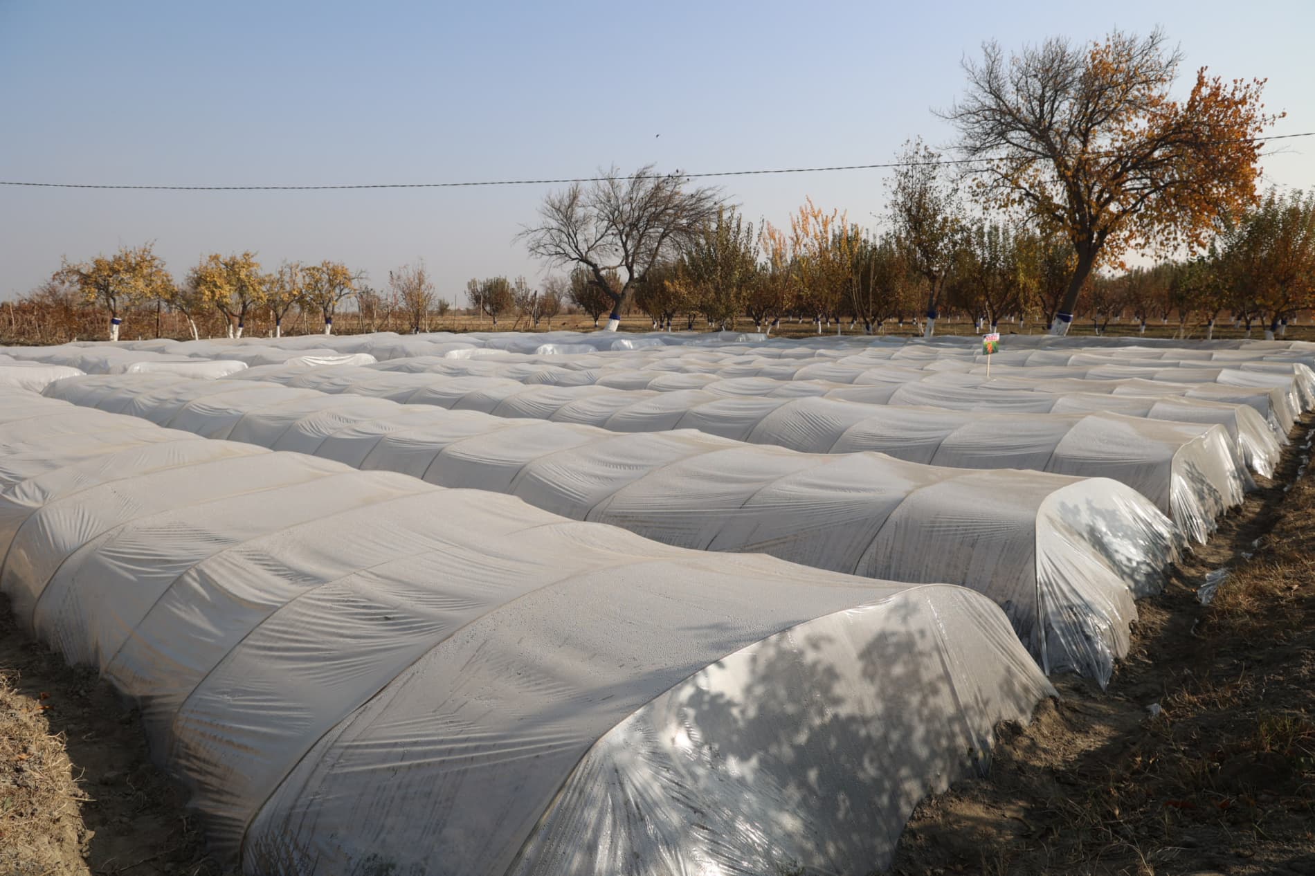 “Har bir kun — bu imkoniyat, har bir kun bu kelajak uchun poydevor!”