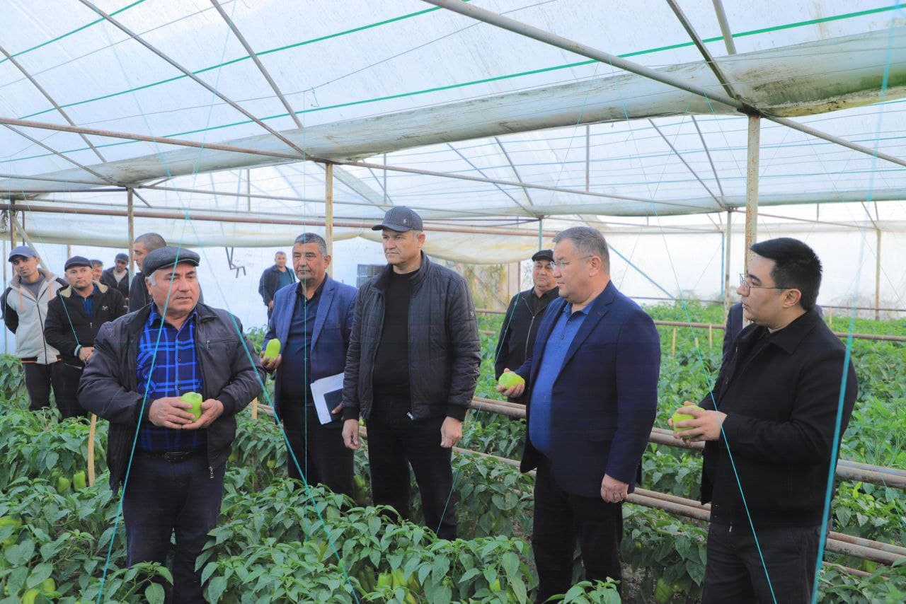 Ромитан: “Қаҳрамон” маҳалласида ўтказилган амалий семинар аҳоли бандлигини таьминлаш, камбағалликни қисқартириш масалаларига бағишланди