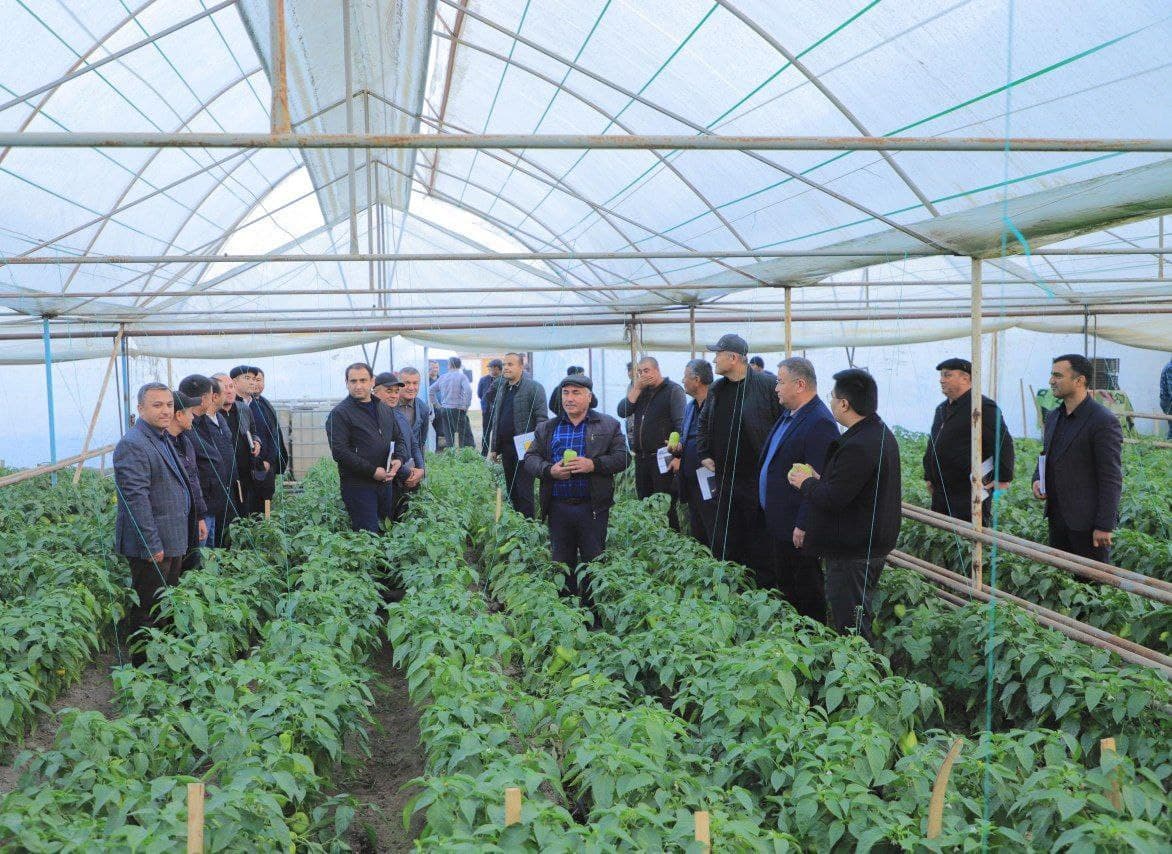 Ромитан: “Қаҳрамон” маҳалласида ўтказилган амалий семинар аҳоли бандлигини таьминлаш, камбағалликни қисқартириш масалаларига бағишланди