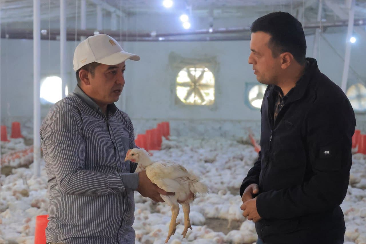 Kogon: “Niyozhoji” MFY Vadan qishlogʻida yana bir tashabbus—parrandachilik loyihasi amalda