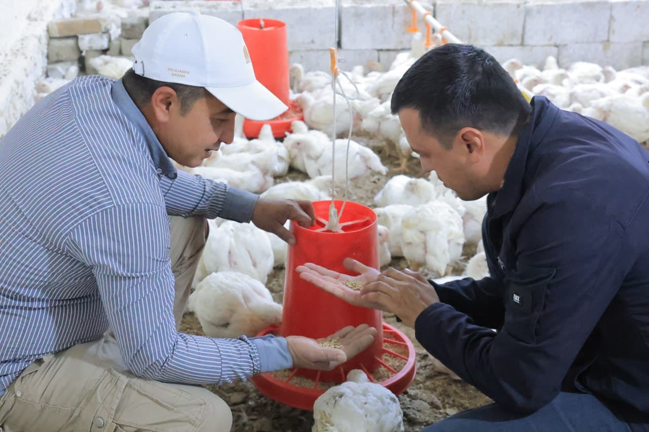 Kogon: “Niyozhoji” MFY Vadan qishlogʻida yana bir tashabbus—parrandachilik loyihasi amalda