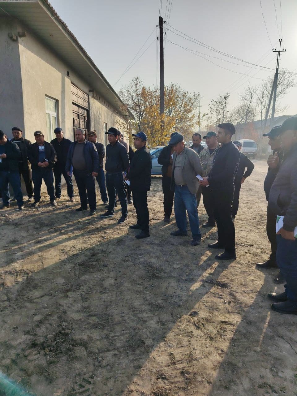 Ромитан: “Хуршид Хушнудбек” фермер хўжалигида ўтган кўргазмали семинар долзарб агротехник тадбирларга бағишланди