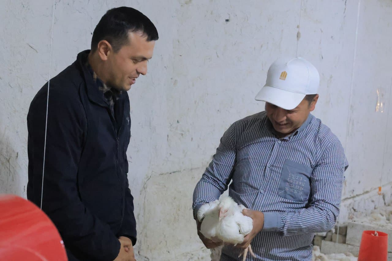 Kogon: “Niyozhoji” MFY Vadan qishlogʻida yana bir tashabbus—parrandachilik loyihasi amalda