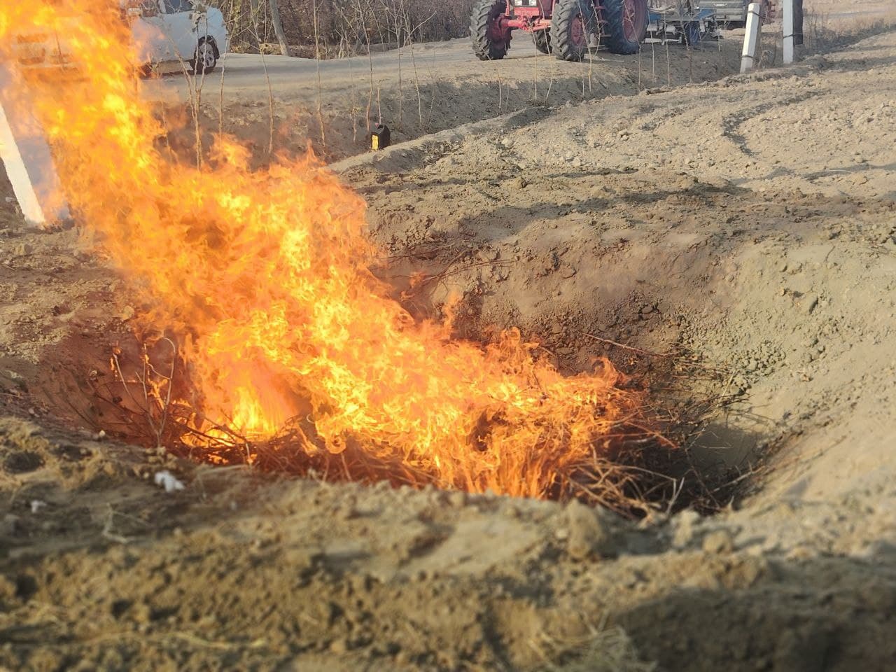 Ромитан: “Хуршид Хушнудбек” фермер хўжалигида ўтган кўргазмали семинар долзарб агротехник тадбирларга бағишланди