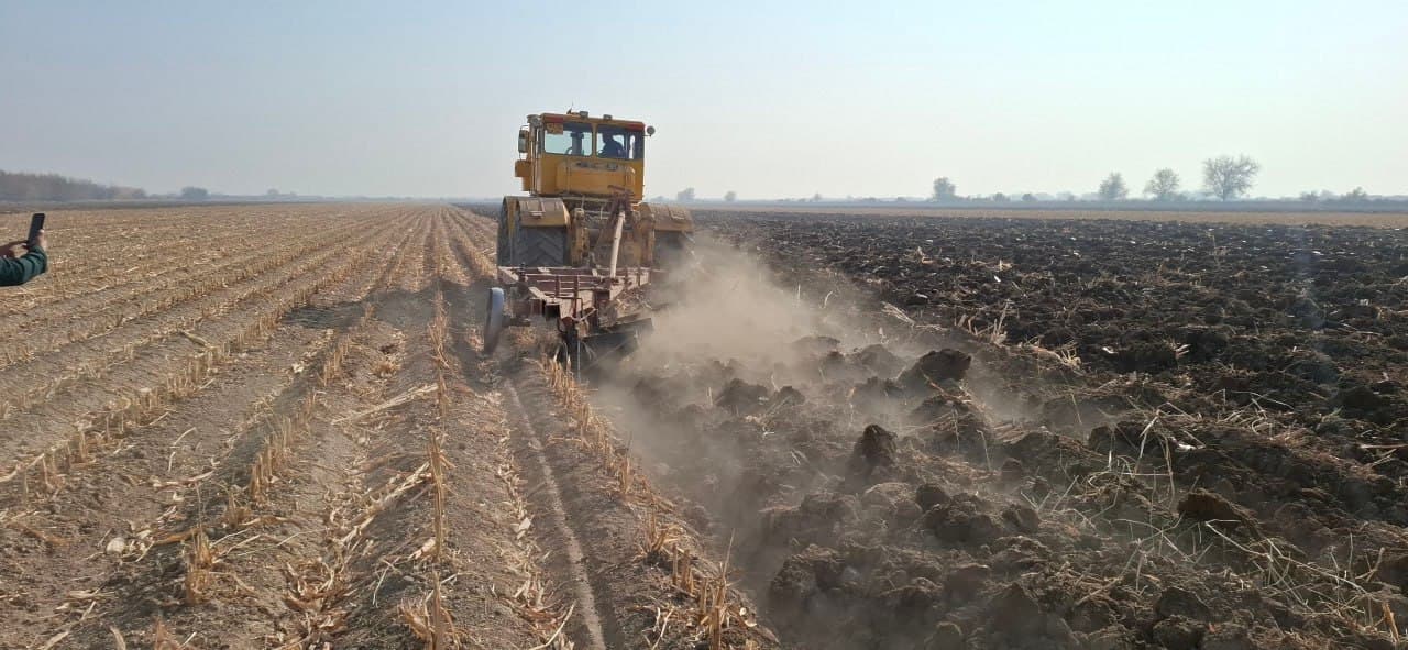 Ромитан: “Хуршид Хушнудбек” фермер хўжалигида ўтган кўргазмали семинар долзарб агротехник тадбирларга бағишланди