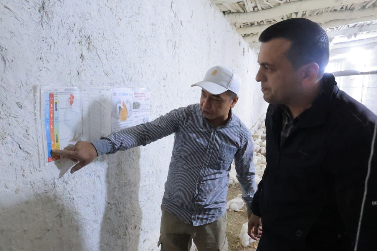 Kogon: “Niyozhoji” MFY Vadan qishlogʻida yana bir tashabbus—parrandachilik loyihasi amalda