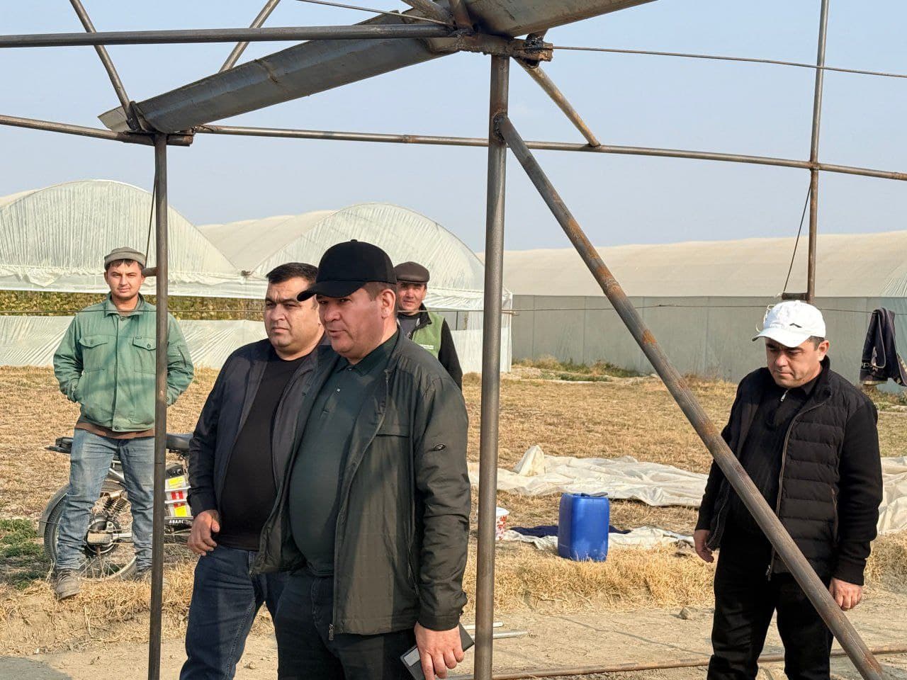 Peshku: “Ibn Sino”da Toshovlar dehqon xoʻjaligi issiqxonadan moʻl hosil olmoqda