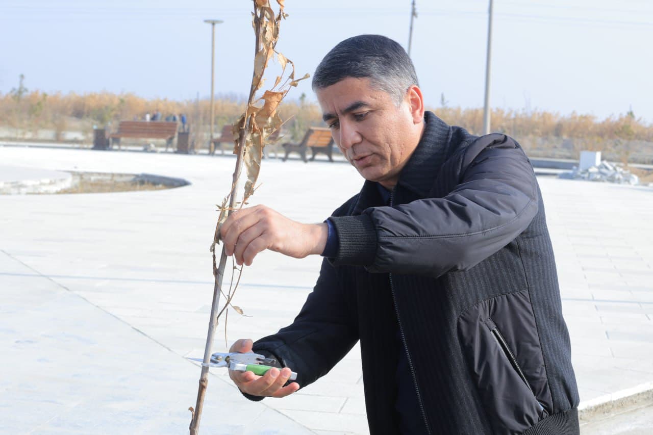 Kogon tumani: Suxor mahallasida “Madaniyat va istirohat bogʻi" tashkil etilmoqda