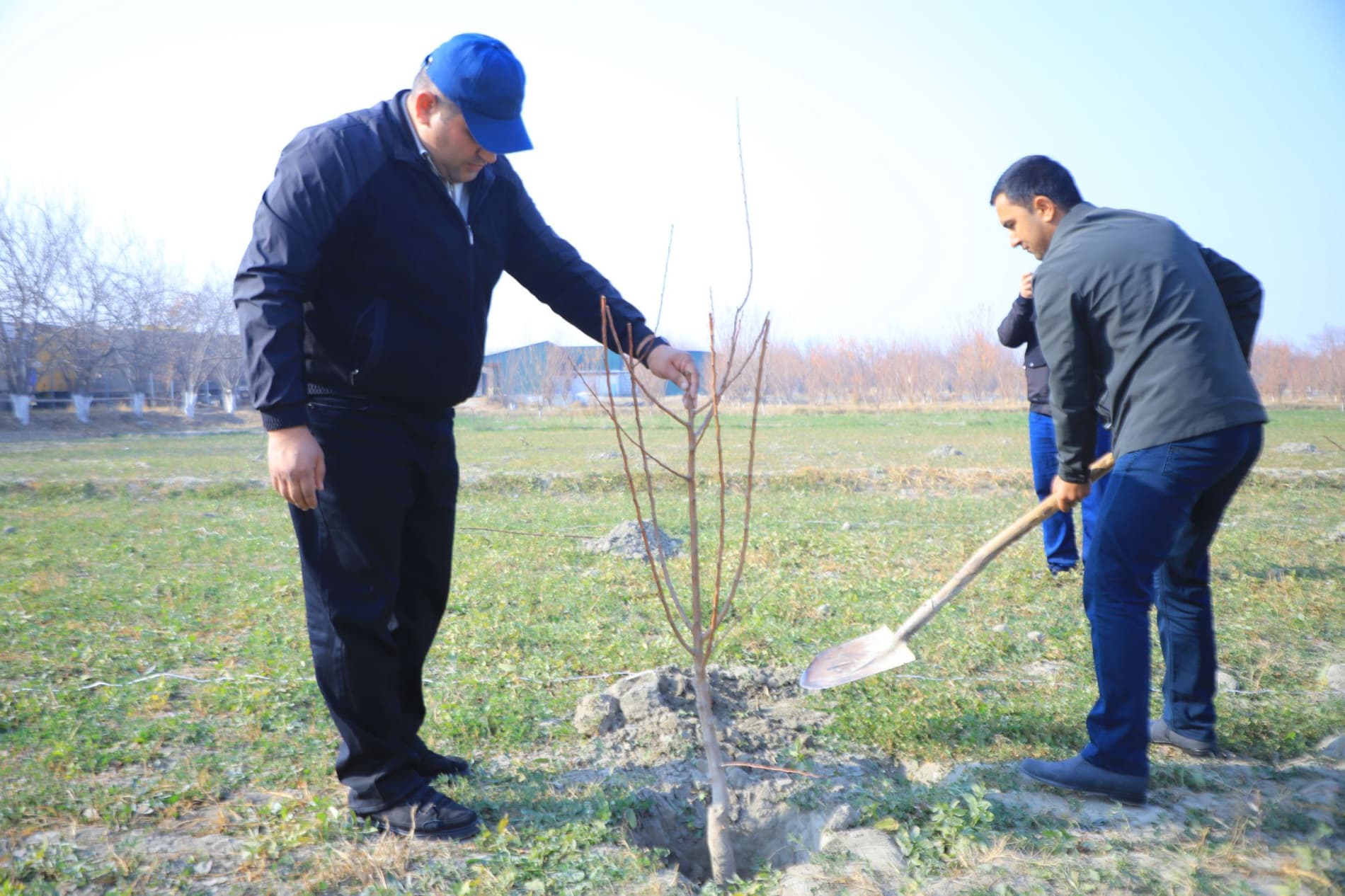 Vobkentda “Qishloq xoʻjaligi xodimlari bogʻi” barpo qilinmoqda