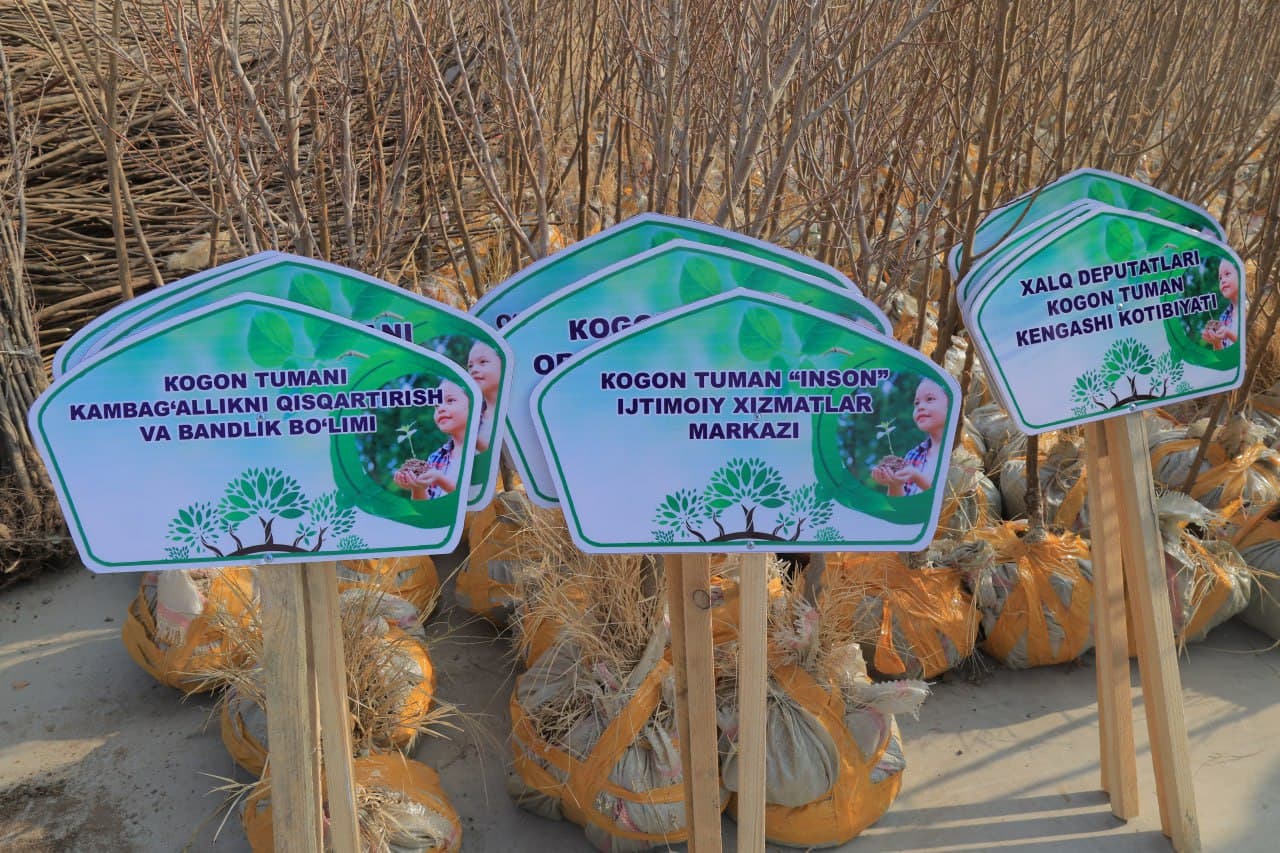 Kogon tumani: Suxor mahallasida “Madaniyat va istirohat bogʻi" tashkil etilmoqda