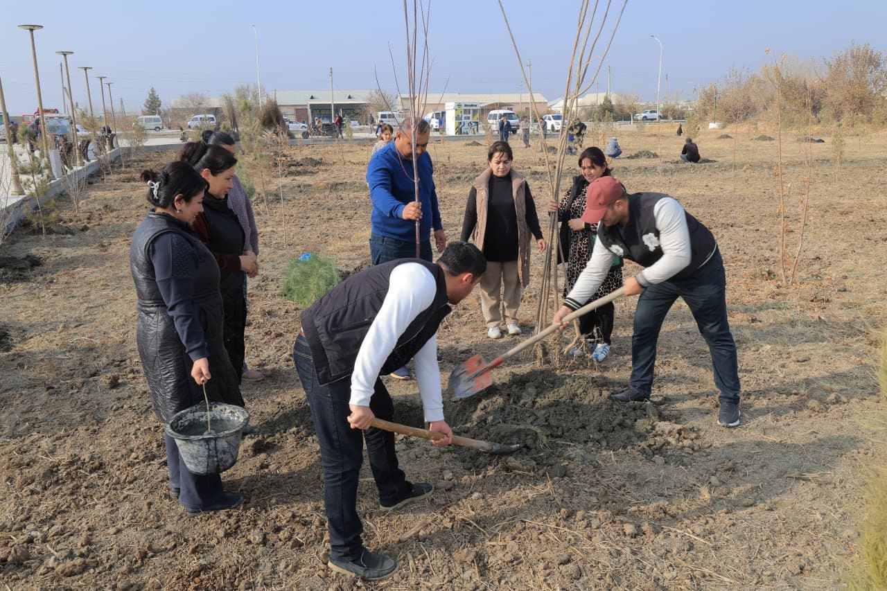 Kogon tumani: Suxor mahallasida “Madaniyat va istirohat bogʻi" tashkil etilmoqda