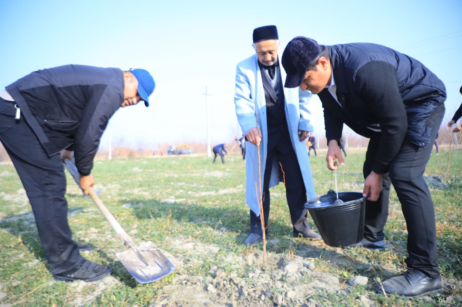 Vobkentda “Qishloq xoʻjaligi xodimlari bogʻi” barpo qilinmoqda