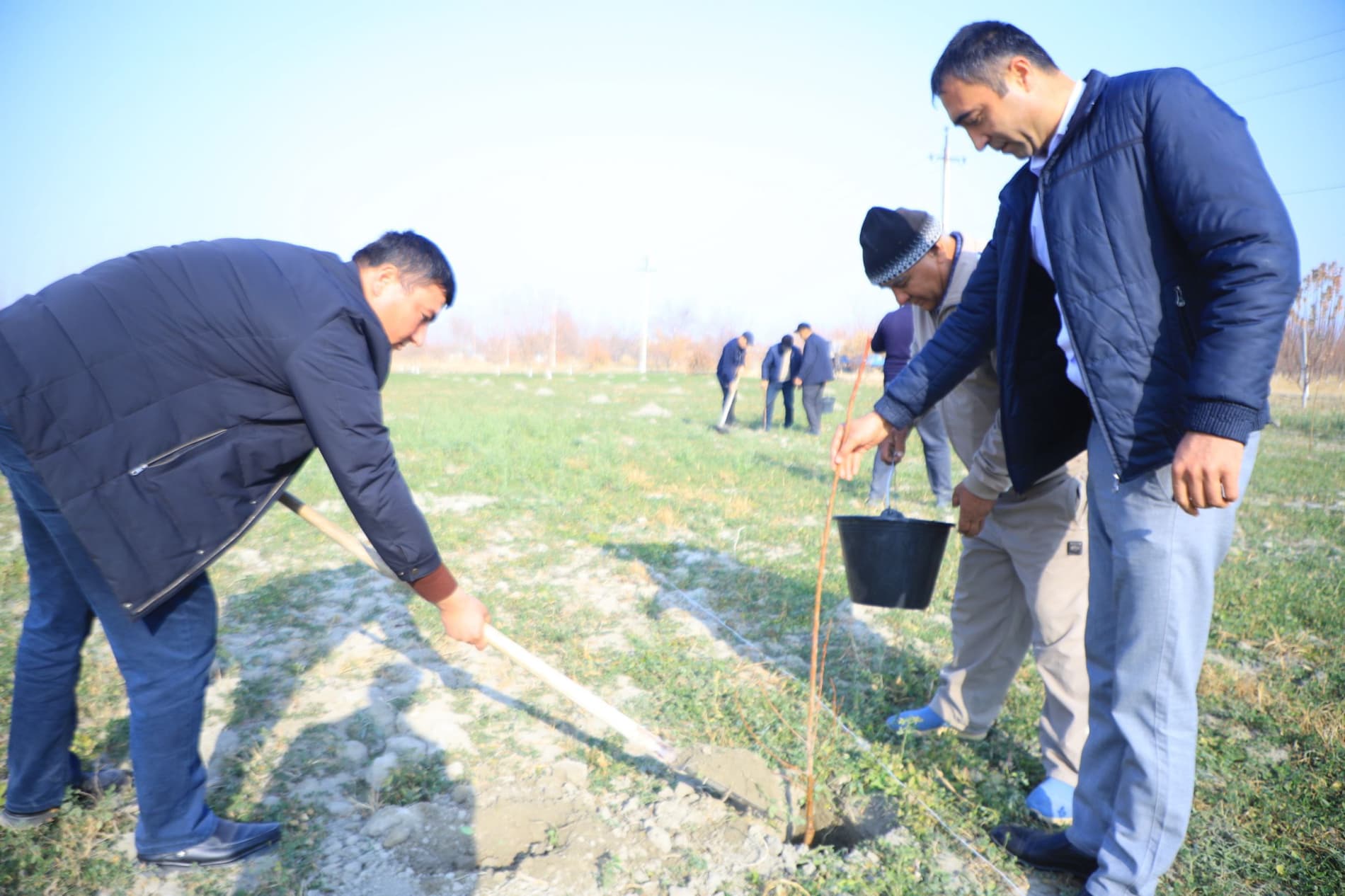 Vobkentda “Qishloq xoʻjaligi xodimlari bogʻi” barpo qilinmoqda