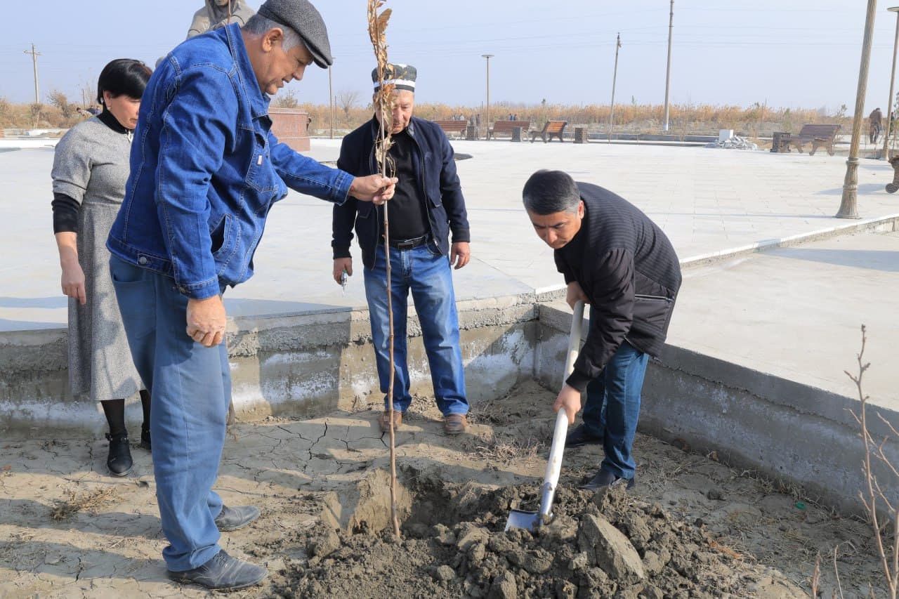 Kogon tumani: Suxor mahallasida “Madaniyat va istirohat bogʻi" tashkil etilmoqda