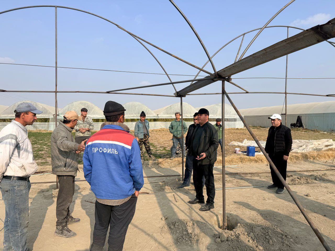 Peshku: “Ibn Sino”da Toshovlar dehqon xoʻjaligi issiqxonadan moʻl hosil olmoqda