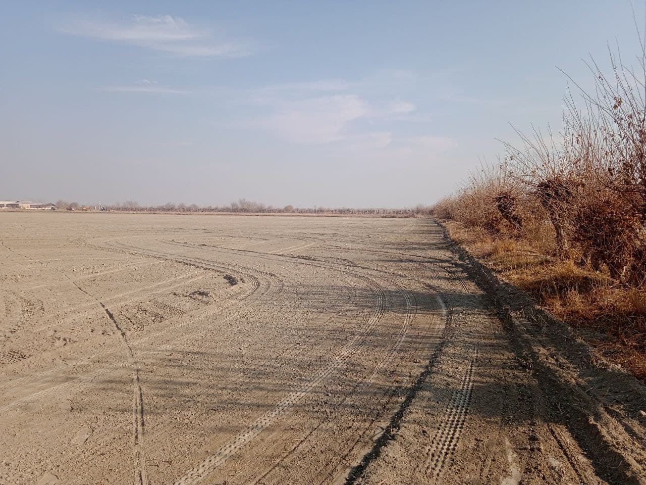 Когон: келгуси йил ҳосили учун 9 минг гектар ер майдони чуқур шудгор қилинмоқда