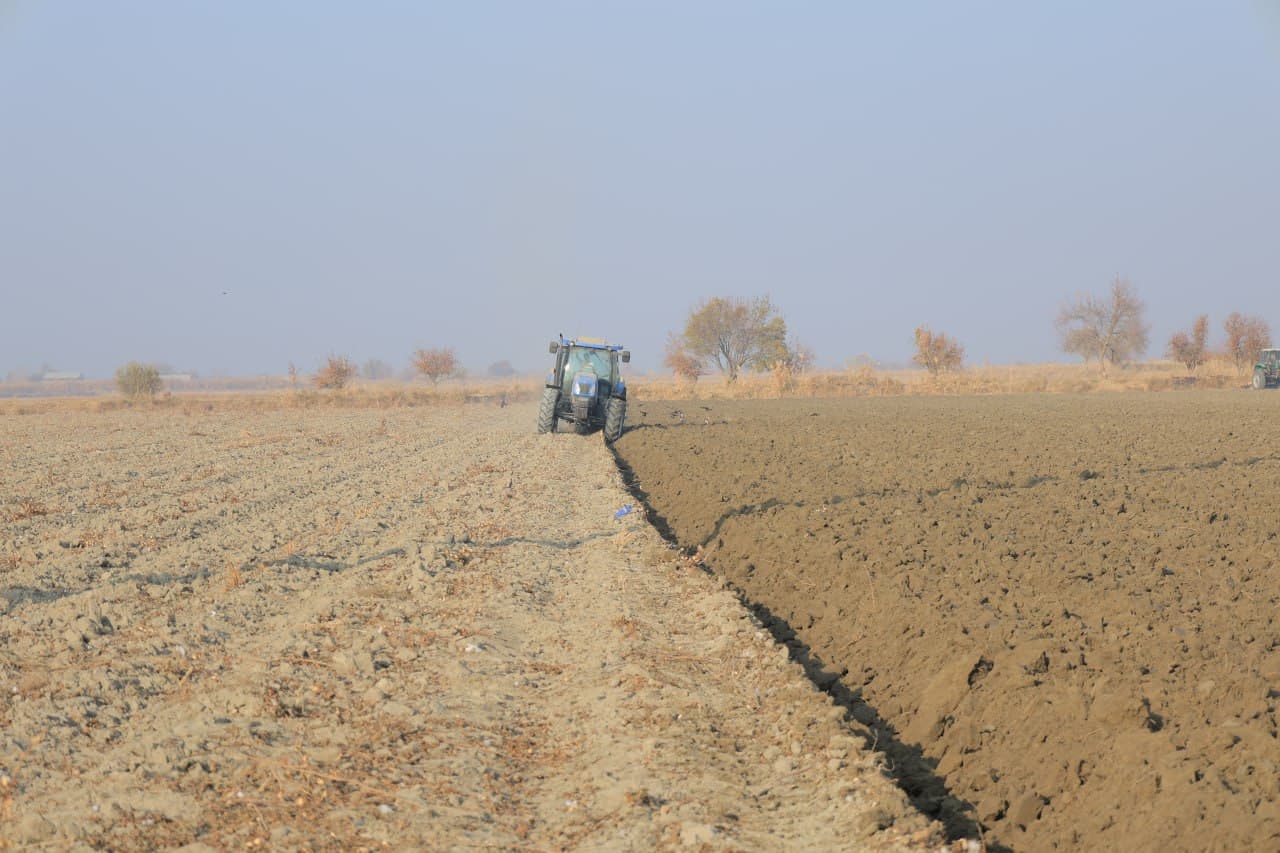 Когон: келгуси йил ҳосили учун 9 минг гектар ер майдони чуқур шудгор қилинмоқда