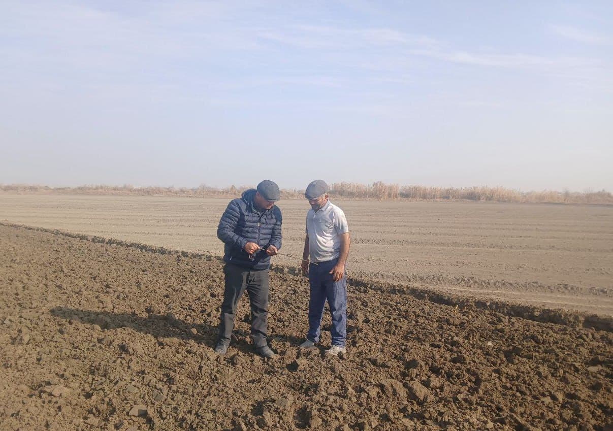 Когон: келгуси йил ҳосили учун 9 минг гектар ер майдони чуқур шудгор қилинмоқда