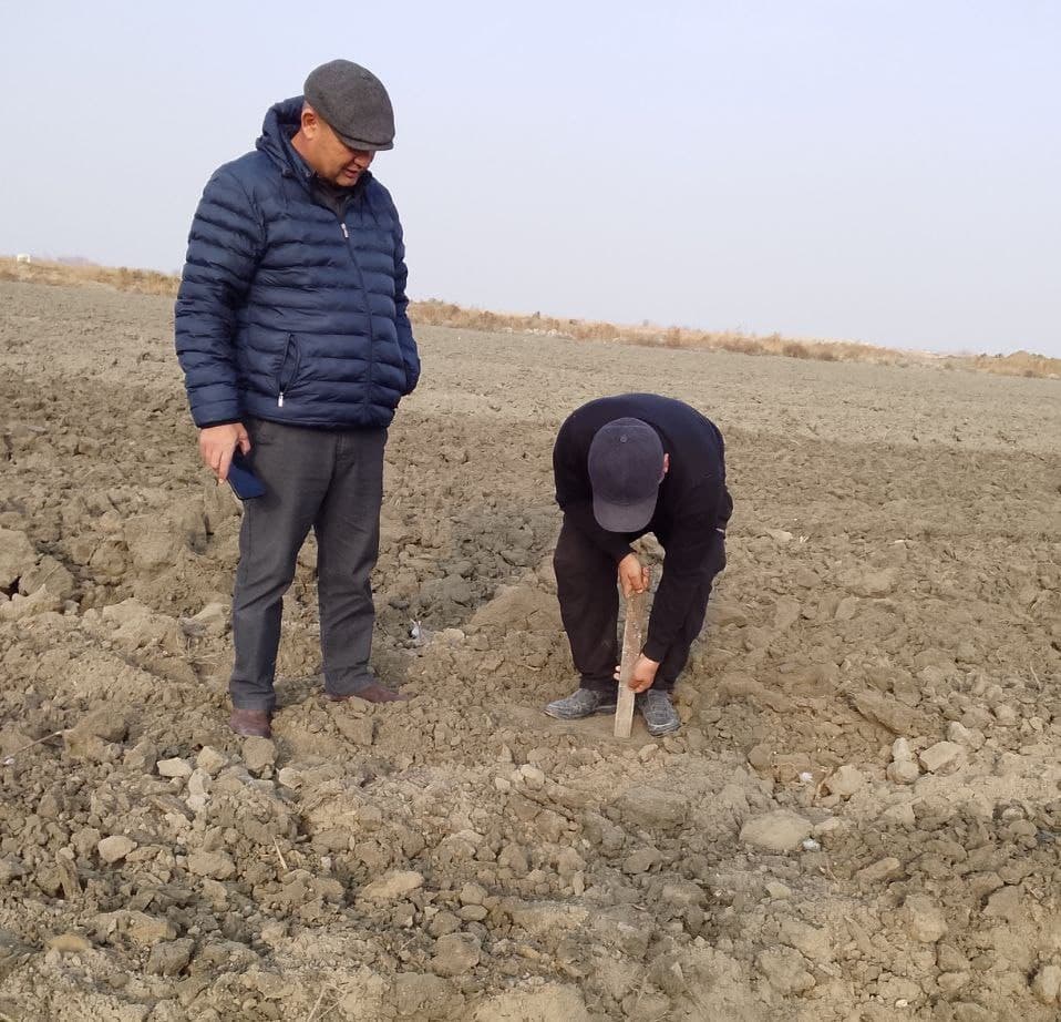 Когон: келгуси йил ҳосили учун 9 минг гектар ер майдони чуқур шудгор қилинмоқда