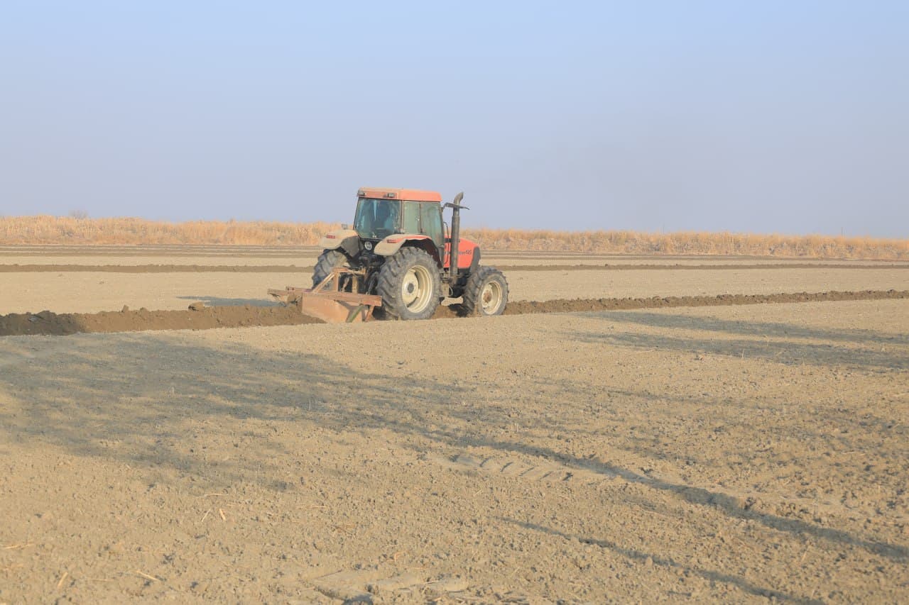 Когон: келгуси йил ҳосили учун 9 минг гектар ер майдони чуқур шудгор қилинмоқда