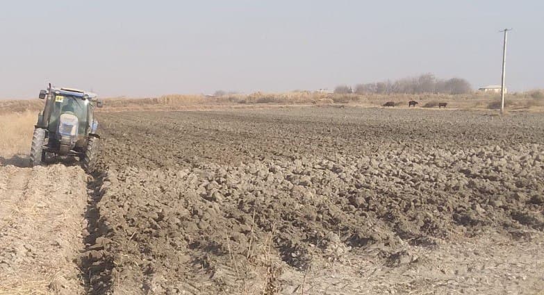 Когон: келгуси йил ҳосили учун 9 минг гектар ер майдони чуқур шудгор қилинмоқда