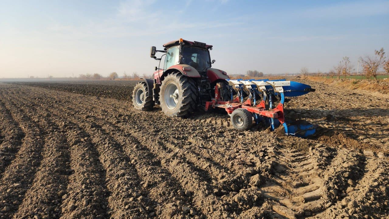 Когон: келгуси йил ҳосили учун 9 минг гектар ер майдони чуқур шудгор қилинмоқда