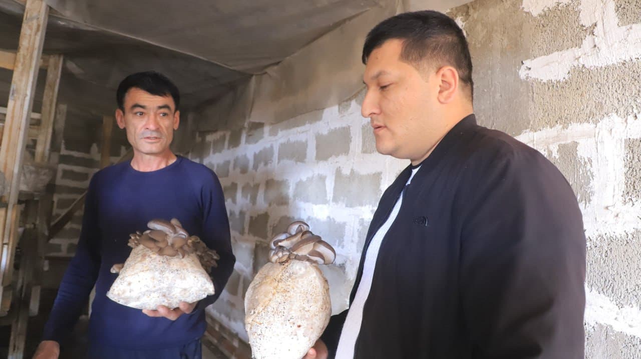 Қоракўл: Иброҳим Азимов ҳам қўзиқорин, ҳам иссиқхонада маҳсулот етиштирмоқда