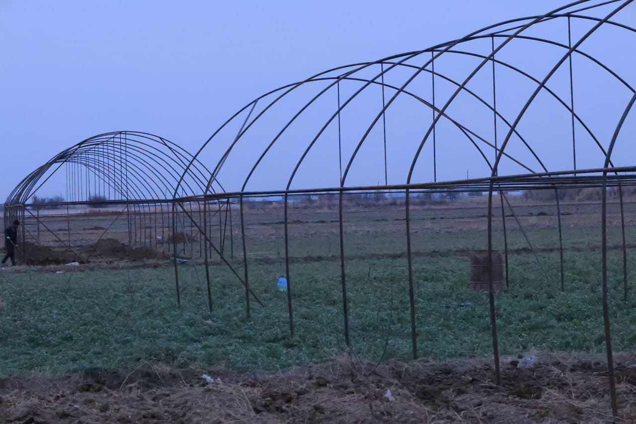 Kogon: “Bir kontur — bir mahsulot” tamoyili asosida yana 34 ta xonadonga issiqxona qurib berilmoqda