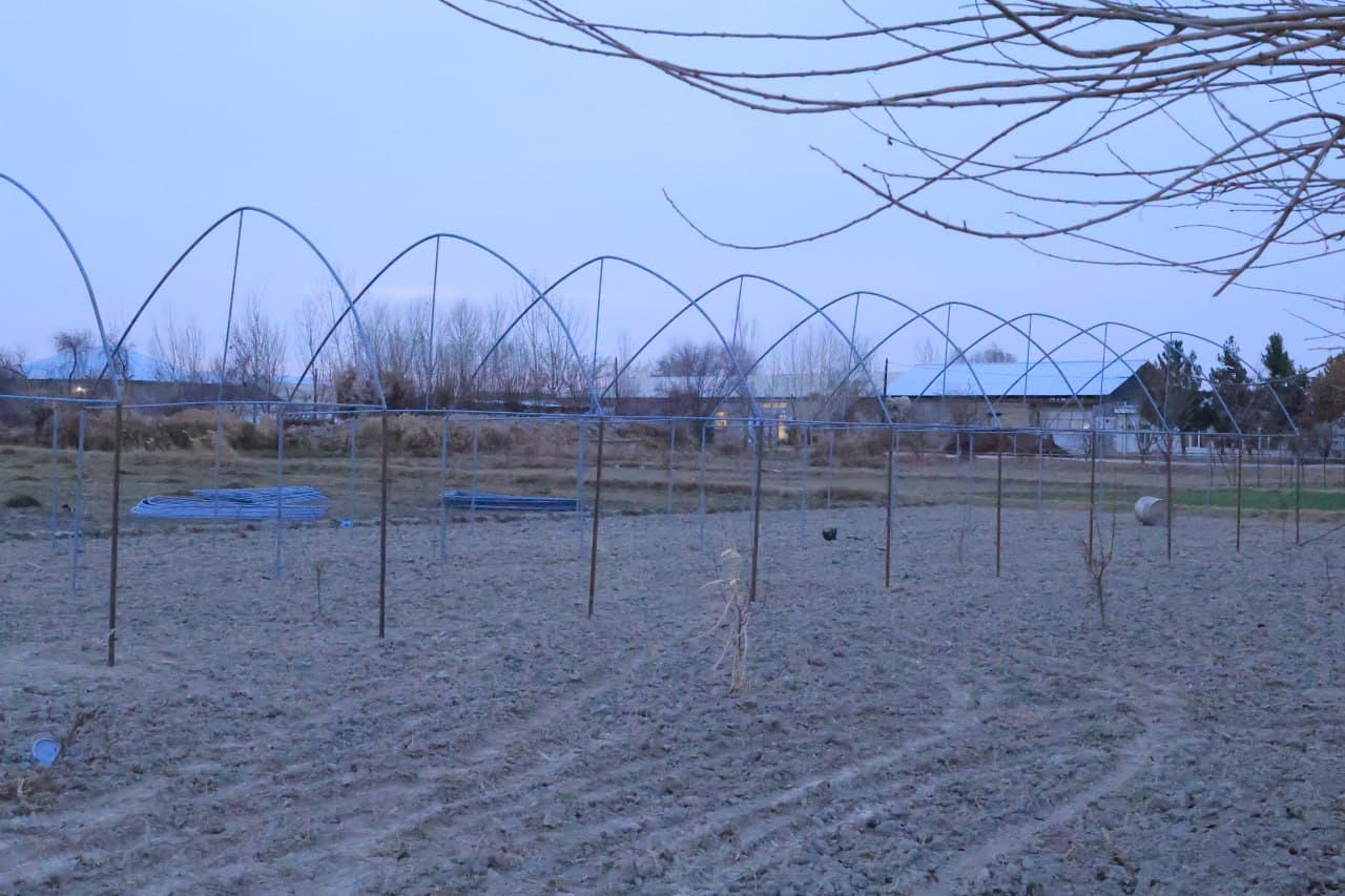 Kogon: “Bir kontur — bir mahsulot” tamoyili asosida yana 34 ta xonadonga issiqxona qurib berilmoqda