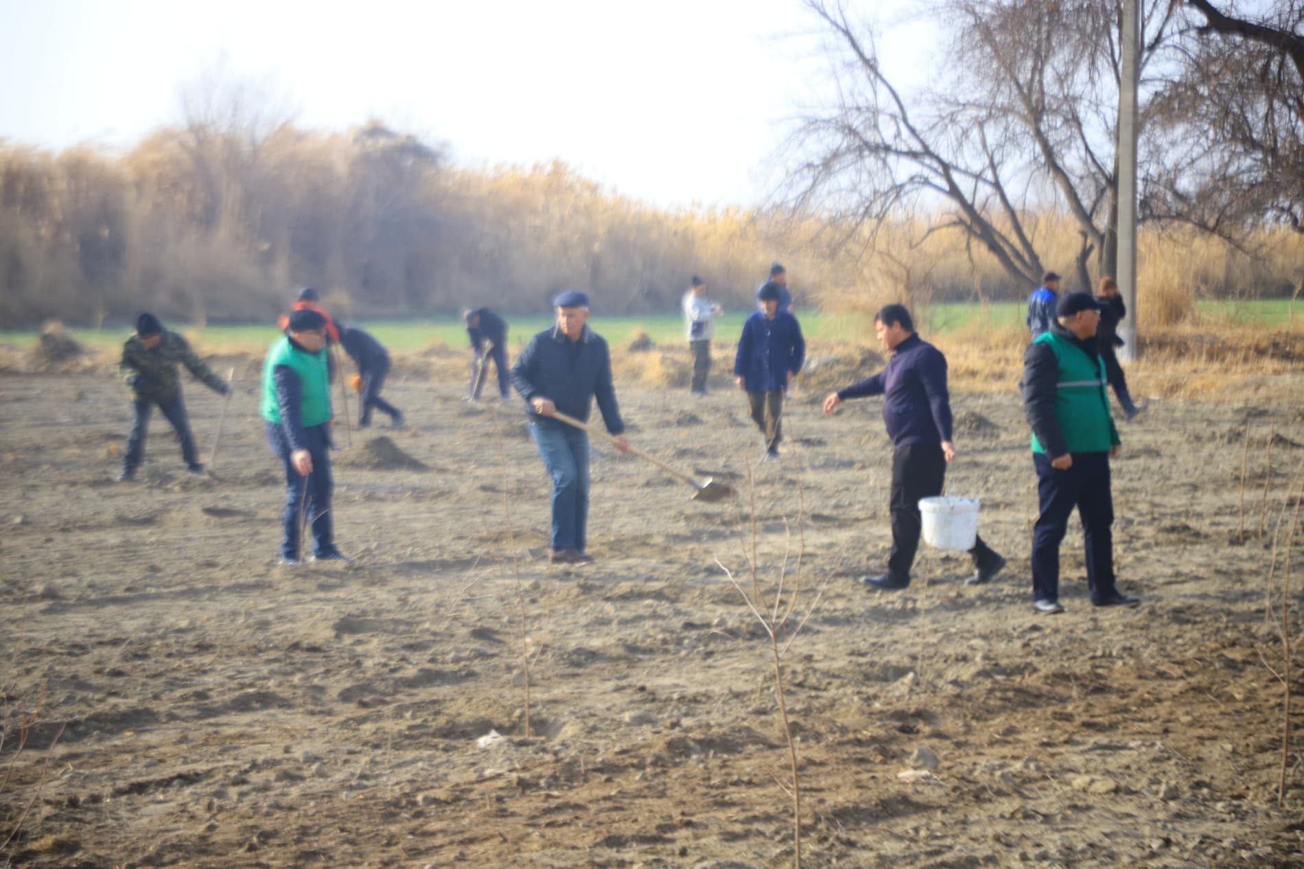 Вобкент: "Яшил макон” умуммиллий лойиҳаси доирасида "Судьялар боғи" барпо қилинмоқда