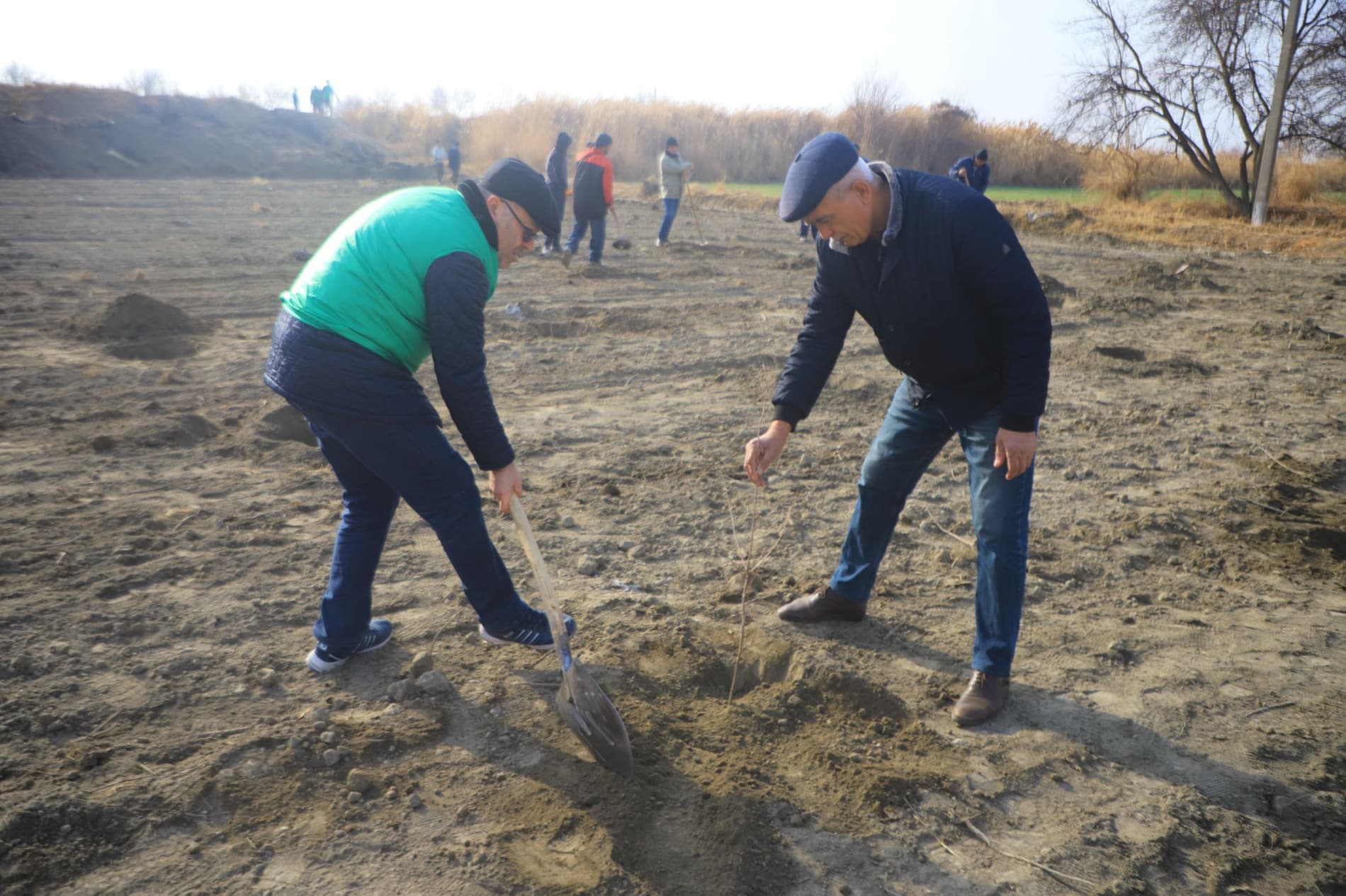 Вобкент: "Яшил макон” умуммиллий лойиҳаси доирасида "Судьялар боғи" барпо қилинмоқда