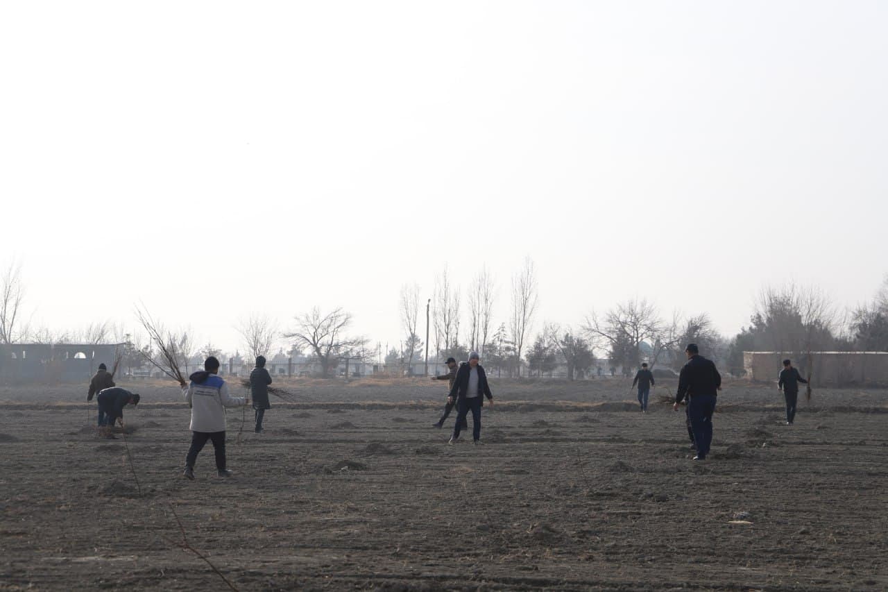 Жондор: “Яшил макон” умумиллий лойиҳаси доирасида “Маҳалла еттилиги боғи” ташкил қилинмоқда