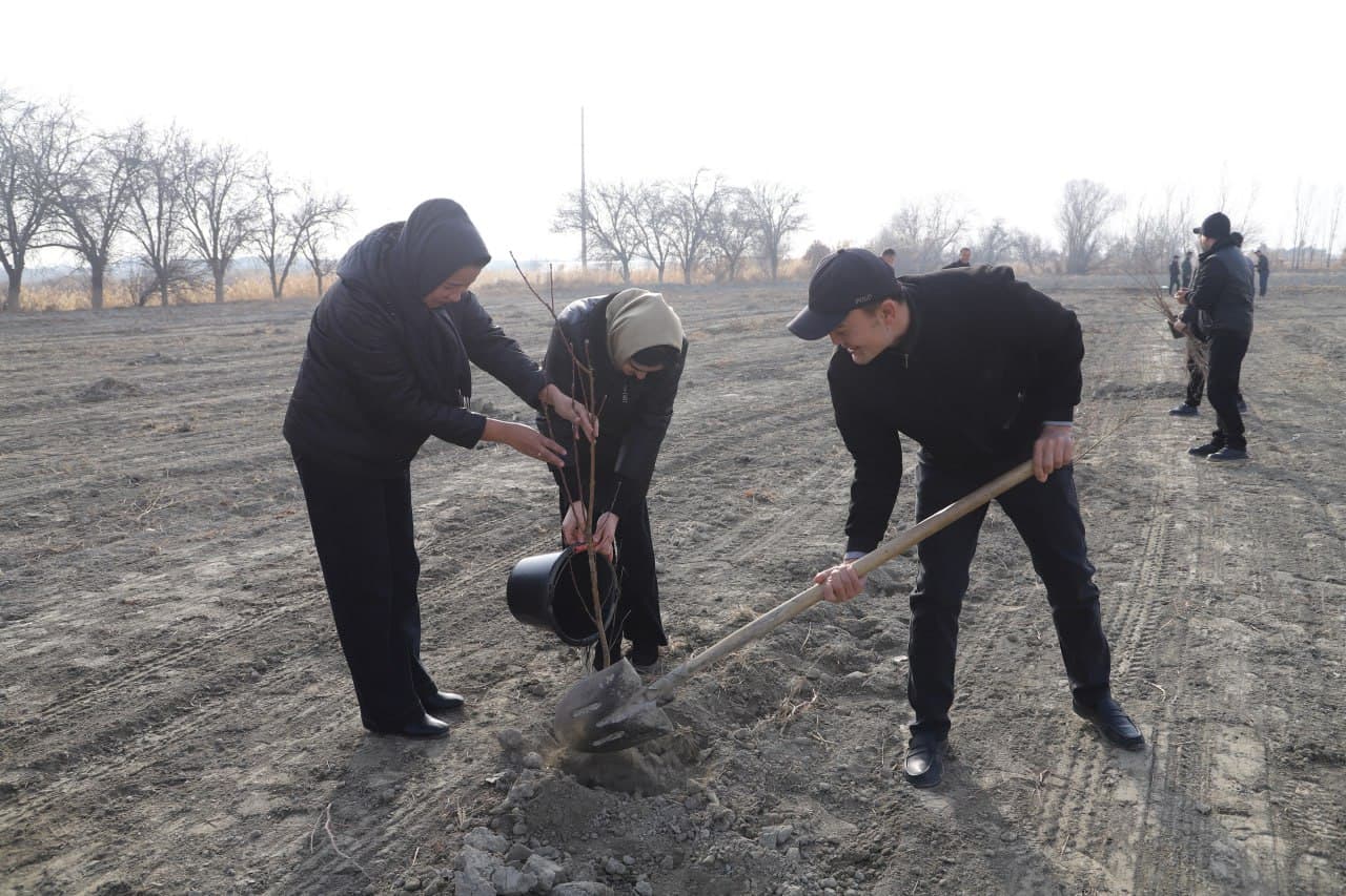 Жондор: “Яшил макон” умумиллий лойиҳаси доирасида “Маҳалла еттилиги боғи” ташкил қилинмоқда