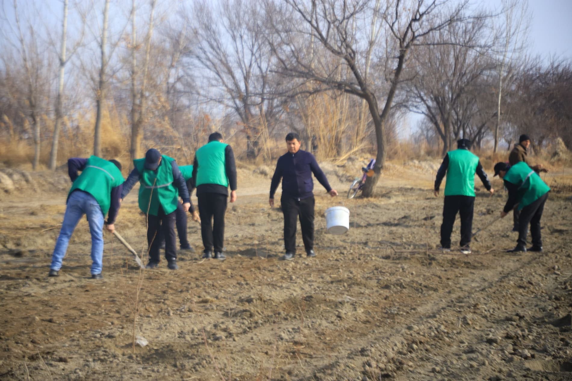 Вобкент: "Яшил макон” умуммиллий лойиҳаси доирасида "Судьялар боғи" барпо қилинмоқда