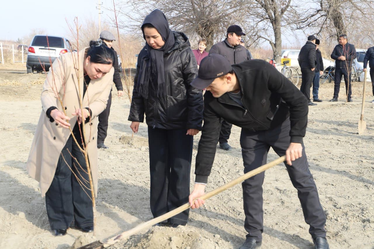 Жондор: “Яшил макон” умумиллий лойиҳаси доирасида “Маҳалла еттилиги боғи” ташкил қилинмоқда