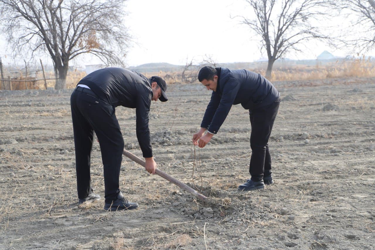 Жондор: “Яшил макон” умумиллий лойиҳаси доирасида “Маҳалла еттилиги боғи” ташкил қилинмоқда