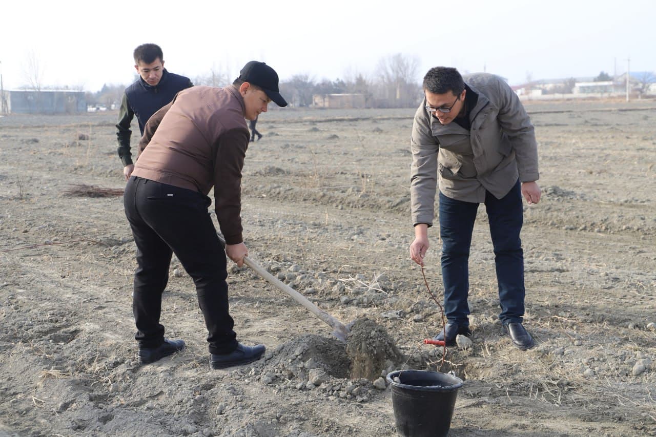 Жондор: “Яшил макон” умумиллий лойиҳаси доирасида “Маҳалла еттилиги боғи” ташкил қилинмоқда