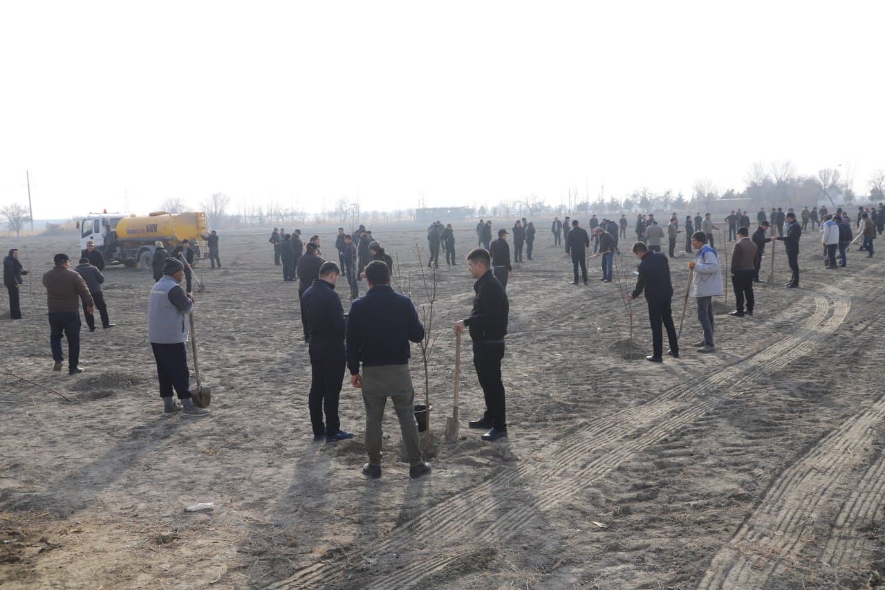 Жондор: “Яшил макон” умумиллий лойиҳаси доирасида “Маҳалла еттилиги боғи” ташкил қилинмоқда