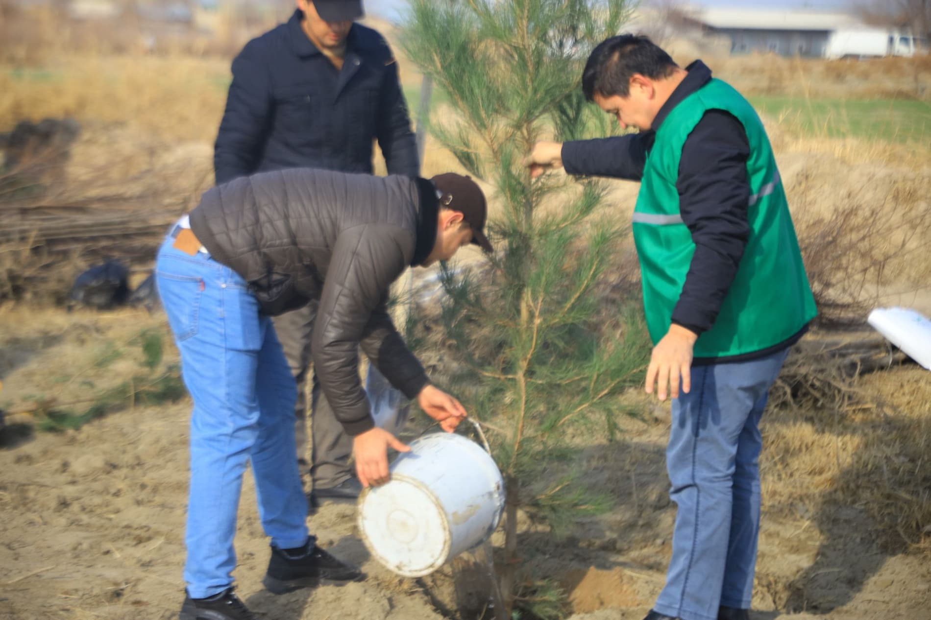 Вобкент: "Яшил макон” умуммиллий лойиҳаси доирасида "Судьялар боғи" барпо қилинмоқда